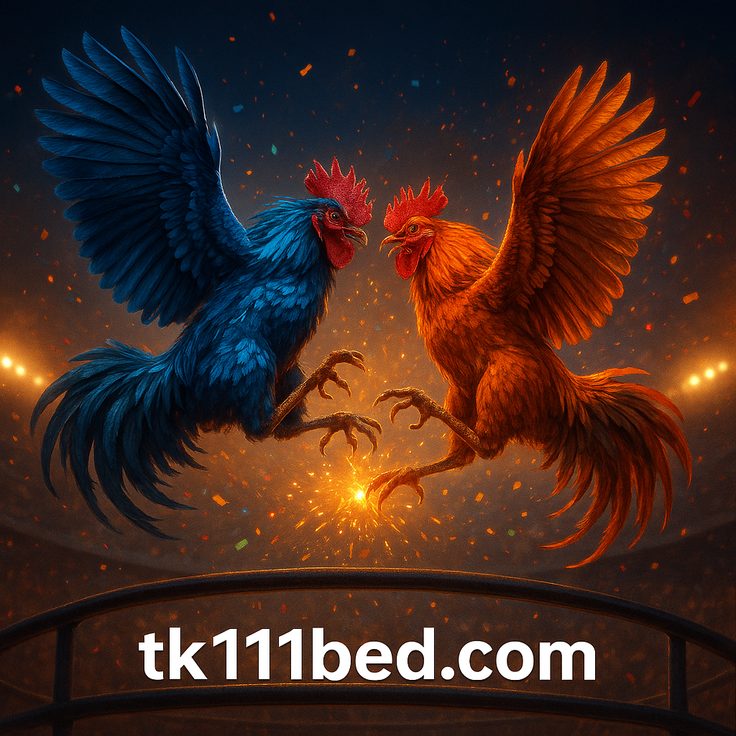 tk111bed ভিআইপি পুরস্কার